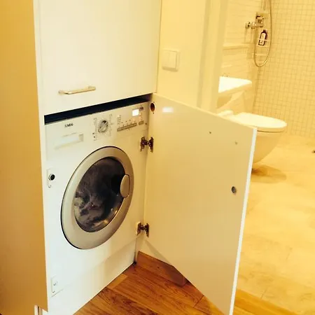 Apartament In Lithuania *